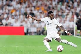 球水平的整 球水平的整